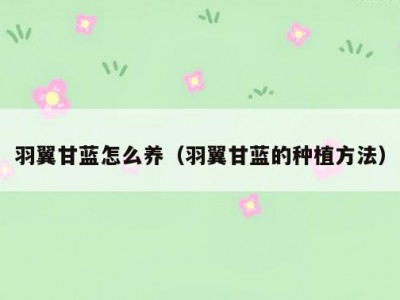 羽翼甘蓝怎么养（羽翼甘蓝的种植方法）