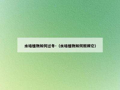 水培植物如何过冬-（水培植物如何照顾它）