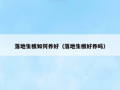 落地生根如何养好（落地生根好养吗）