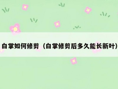 白掌如何修剪（白掌修剪后多久能长新叶）