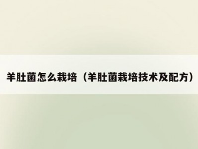羊肚菌怎么栽培（羊肚菌栽培技术及配方）