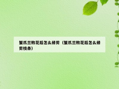 蟹爪兰败花后怎么修剪（蟹爪兰败花后怎么修剪枝条）