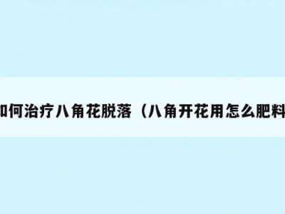 如何治疗八角花脱落（八角开花用怎么肥料）