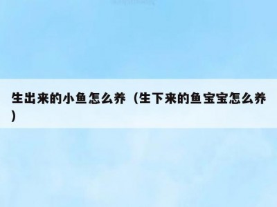 生出来的小鱼怎么养（生下来的鱼宝宝怎么养）