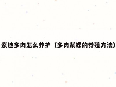 紫迪多肉怎么养护（多肉紫蝶的养殖方法）