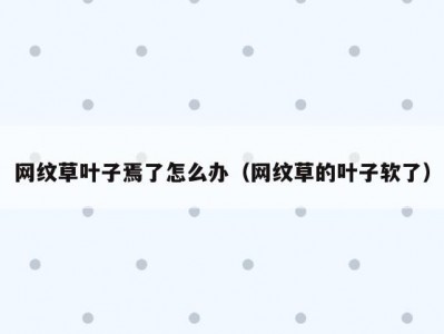 网纹草叶子焉了怎么办（网纹草的叶子软了）