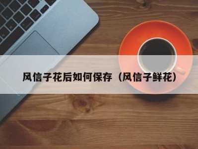 风信子花后如何保存（风信子鲜花）