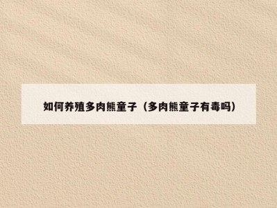 如何养殖多肉熊童子（多肉熊童子有毒吗）