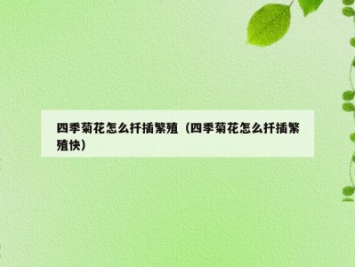 四季菊花怎么扦插繁殖（四季菊花怎么扦插繁殖快）