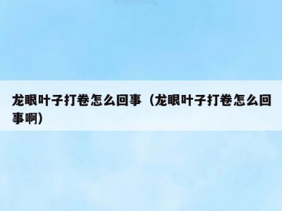 龙眼叶子打卷怎么回事（龙眼叶子打卷怎么回事啊）