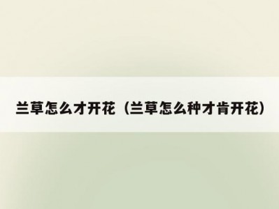 兰草怎么才开花（兰草怎么种才肯开花）