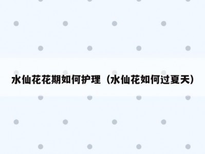 水仙花花期如何护理（水仙花如何过夏天）
