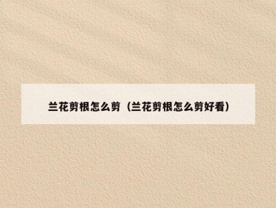 兰花剪根怎么剪（兰花剪根怎么剪好看）