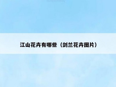 江山花卉有哪些（剑兰花卉图片）