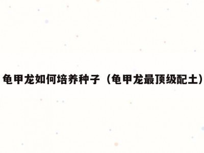 龟甲龙如何培养种子（龟甲龙最顶级配土）