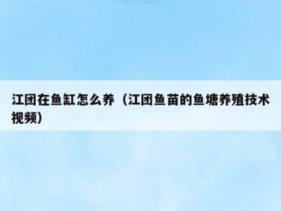 江团在鱼缸怎么养（江团鱼苗的鱼塘养殖技术视频）
