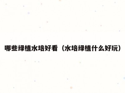 哪些绿植水培好看（水培绿植什么好玩）