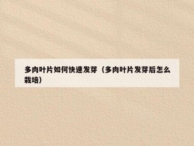 多肉叶片如何快速发芽（多肉叶片发芽后怎么栽培）