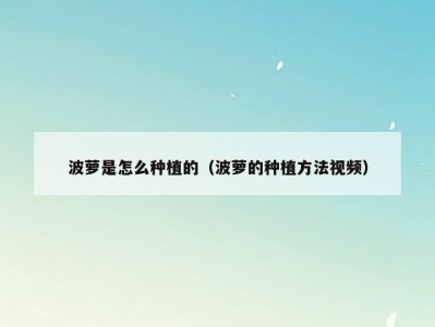 波萝是怎么种植的（波萝的种植方法视频）