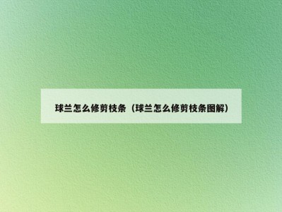 球兰怎么修剪枝条（球兰怎么修剪枝条图解）