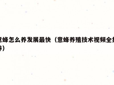 意蜂怎么养发展最快（意蜂养殖技术视频全集养）