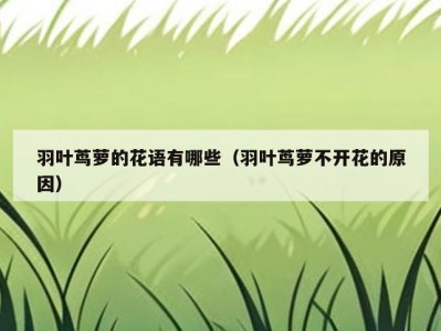 羽叶茑萝的花语有哪些（羽叶茑萝不开花的原因）