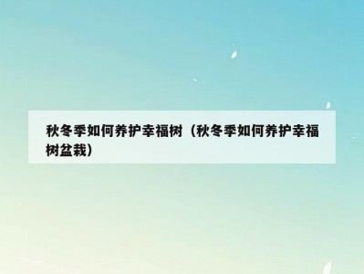 秋冬季如何养护幸福树（秋冬季如何养护幸福树盆栽）