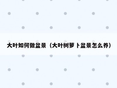 大叶如何做盆景（大叶树萝卜盆景怎么养）