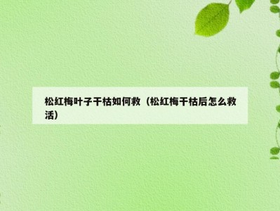 松红梅叶子干枯如何救（松红梅干枯后怎么救活）