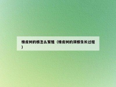 橡皮树的根怎么繁殖（橡皮树的须根生长过程）