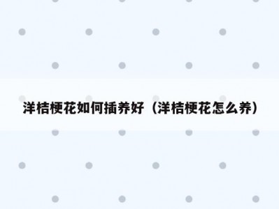 洋桔梗花如何插养好（洋桔梗花怎么养）