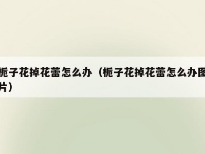 栀子花掉花蕾怎么办（栀子花掉花蕾怎么办图片）