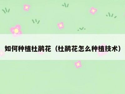 如何种植杜鹃花（杜鹃花怎么种植技术）