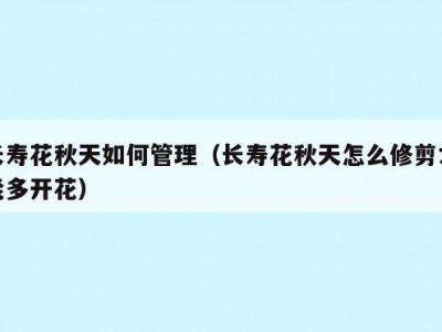 长寿花秋天如何管理（长寿花秋天怎么修剪才能多开花）