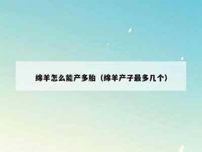 绵羊怎么能产多胎（绵羊产子最多几个）