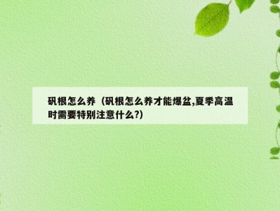 矾根怎么养（矾根怎么养才能爆盆,夏季高温时需要特别注意什么?）