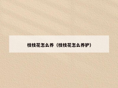 枝枝花怎么养（枝枝花怎么养护）