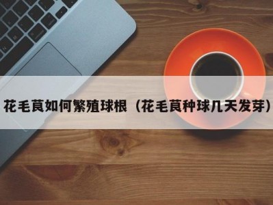 花毛茛如何繁殖球根（花毛茛种球几天发芽）