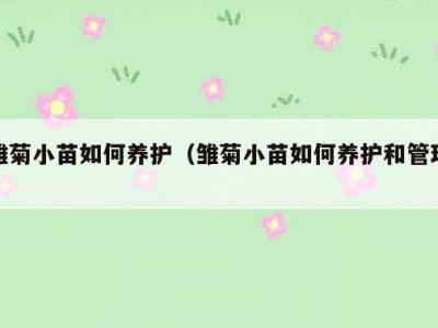 雏菊小苗如何养护（雏菊小苗如何养护和管理）