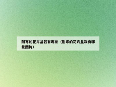 耐寒的花卉盆栽有哪些（耐寒的花卉盆栽有哪些图片）