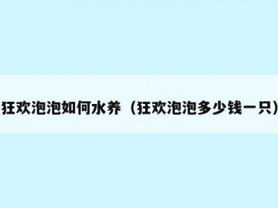 狂欢泡泡如何水养（狂欢泡泡多少钱一只）