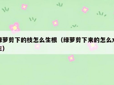 绿萝剪下的枝怎么生根（绿萝剪下来的怎么水生）