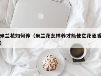 米兰花如何养（米兰花怎样养才能使它花更香）