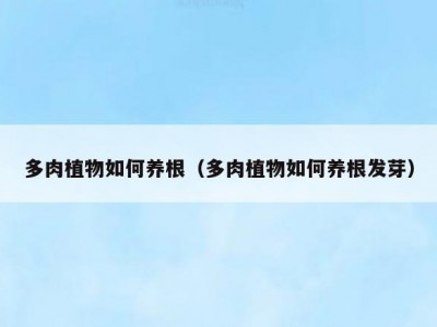 多肉植物如何养根（多肉植物如何养根发芽）