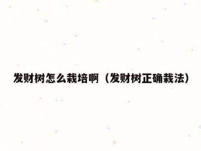 发财树怎么栽培啊（发财树正确栽法）