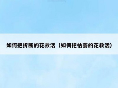 如何把折断的花救活（如何把枯萎的花救活）