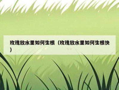 玫瑰放水里如何生根（玫瑰放水里如何生根快）