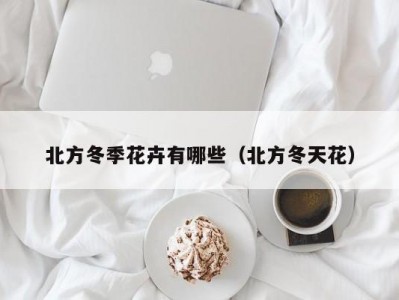 北方冬季花卉有哪些（北方冬天花）