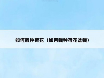 如何栽种荷花（如何栽种荷花盆栽）