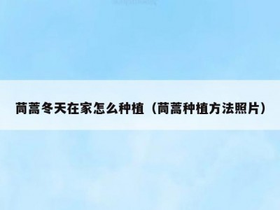 茼蒿冬天在家怎么种植（茼蒿种植方法照片）